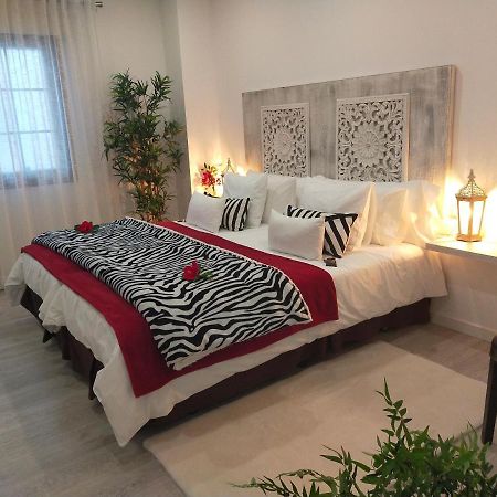Room Plaza San Marcos Икод-де-лос-Винос Экстерьер фото